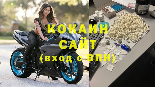 дурь Инта