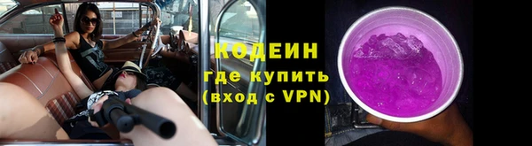 дурь Инта
