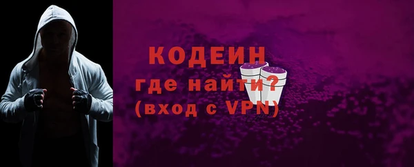 дурь Инта