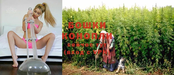 прущие грибы Протвино