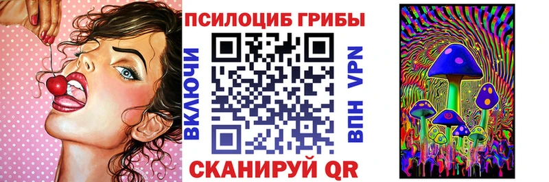 Галлюциногенные грибы Psilocybine cubensis  ОМГ ОМГ ссылки  Сосенский 